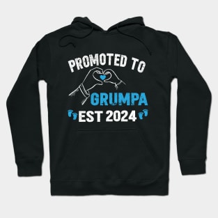 Promoted to grandpa 2024, grunpa 2024, new preganncy annoucement 2024 Hoodie